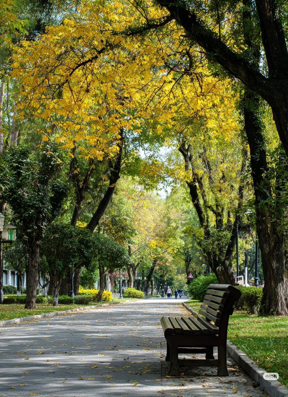 一位营养学家说：“晚上饿了，可以吃鸡蛋，可以吃牛肉，可以吃水煮大虾，可以吃番茄，