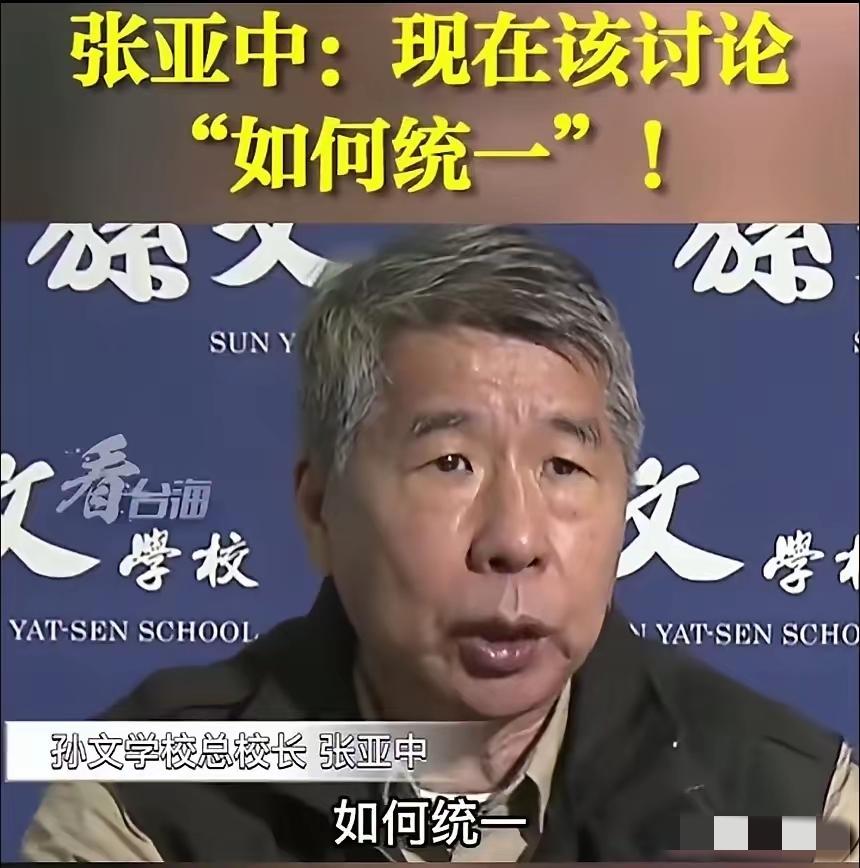 台湾孙文学校总校长张亚中说：“与其跟北京一直在辩论说我们要不要统一，不如去北京讨