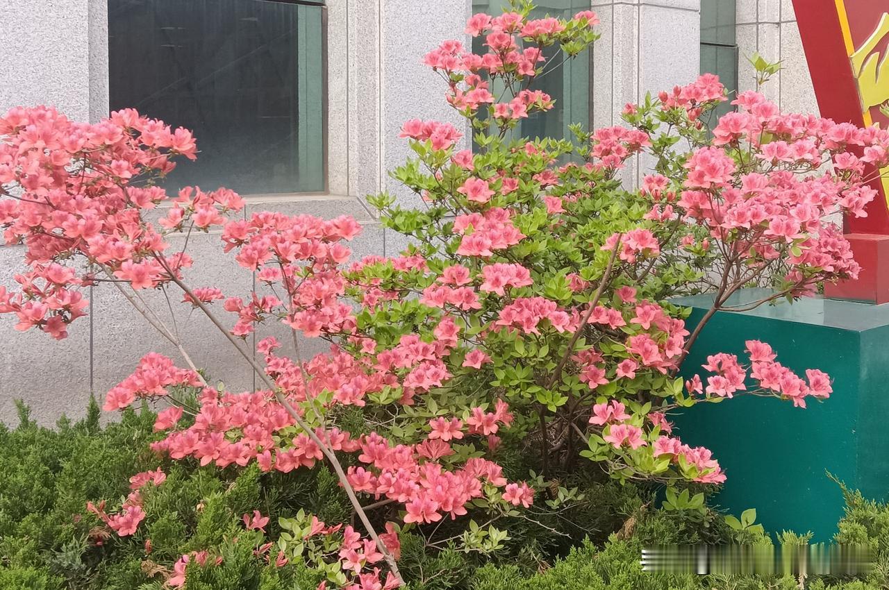 人至中年，方才领悟。一个家庭，最佳的风水，便是添丁进喜。有了孩子，长辈便