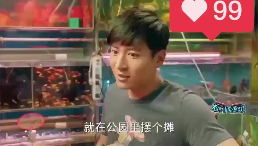 6196925678185904171.jpg?id=0