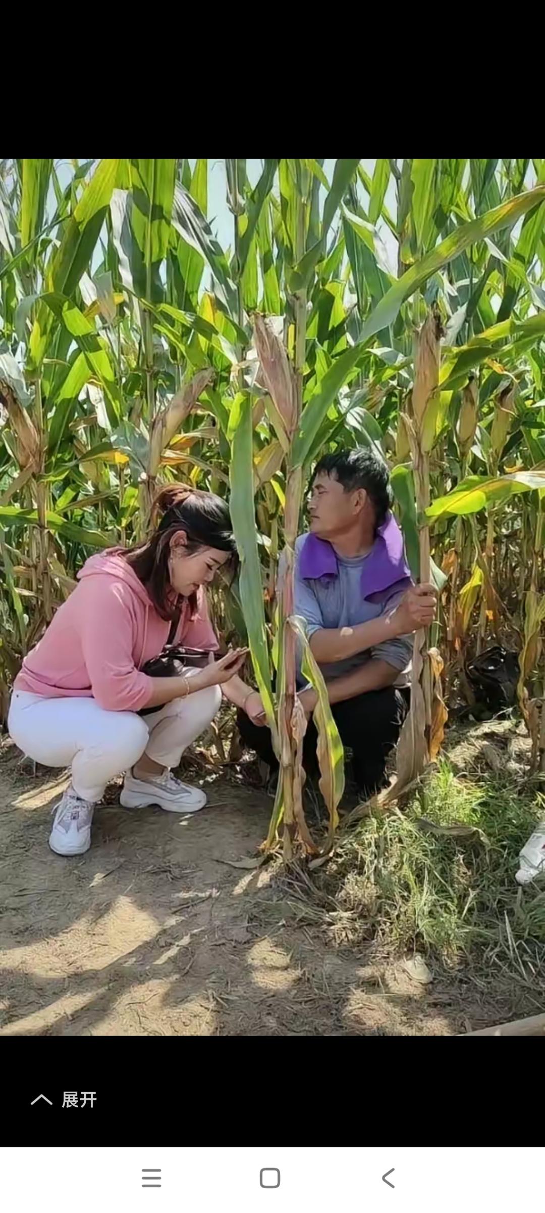 孤男寡女，跑苞米地里头，能干什么好事儿？大野地里苞米地旁不能安装摄像头吧？