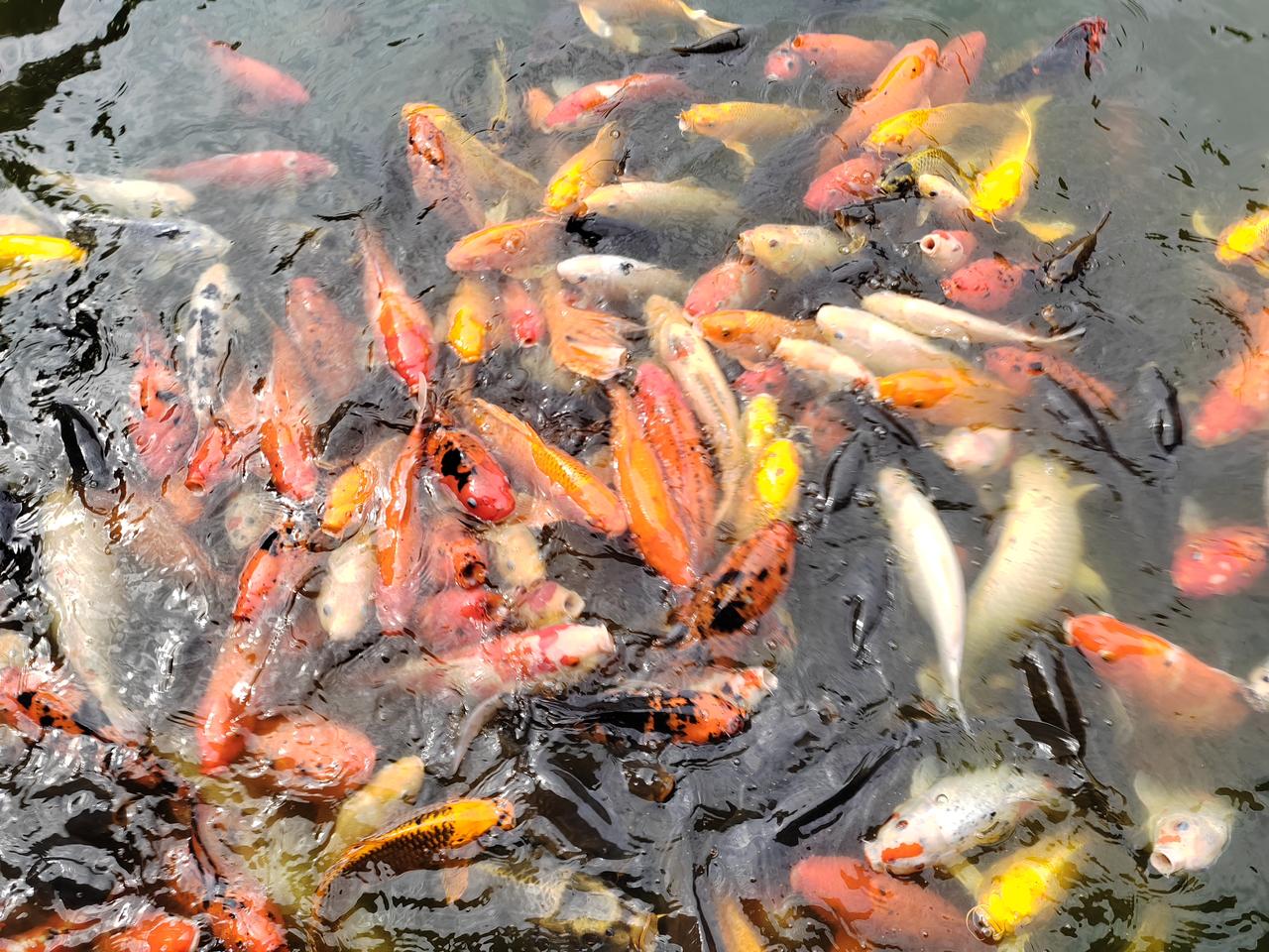 一、当前依赖有多深-进口依赖：美国稀土71%来自中国；军工必需的重稀土（