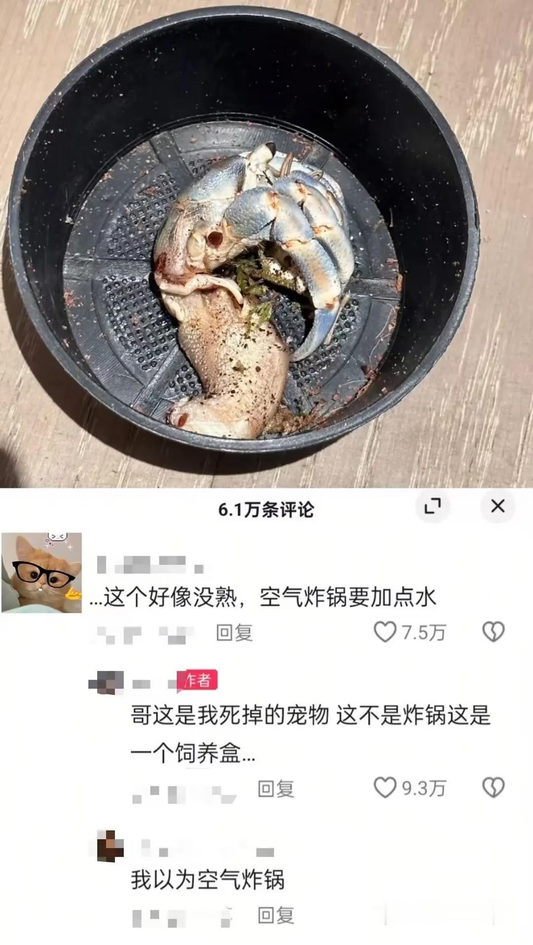 怎么这么好笑哈哈哈哈哈哈哈哈​​​