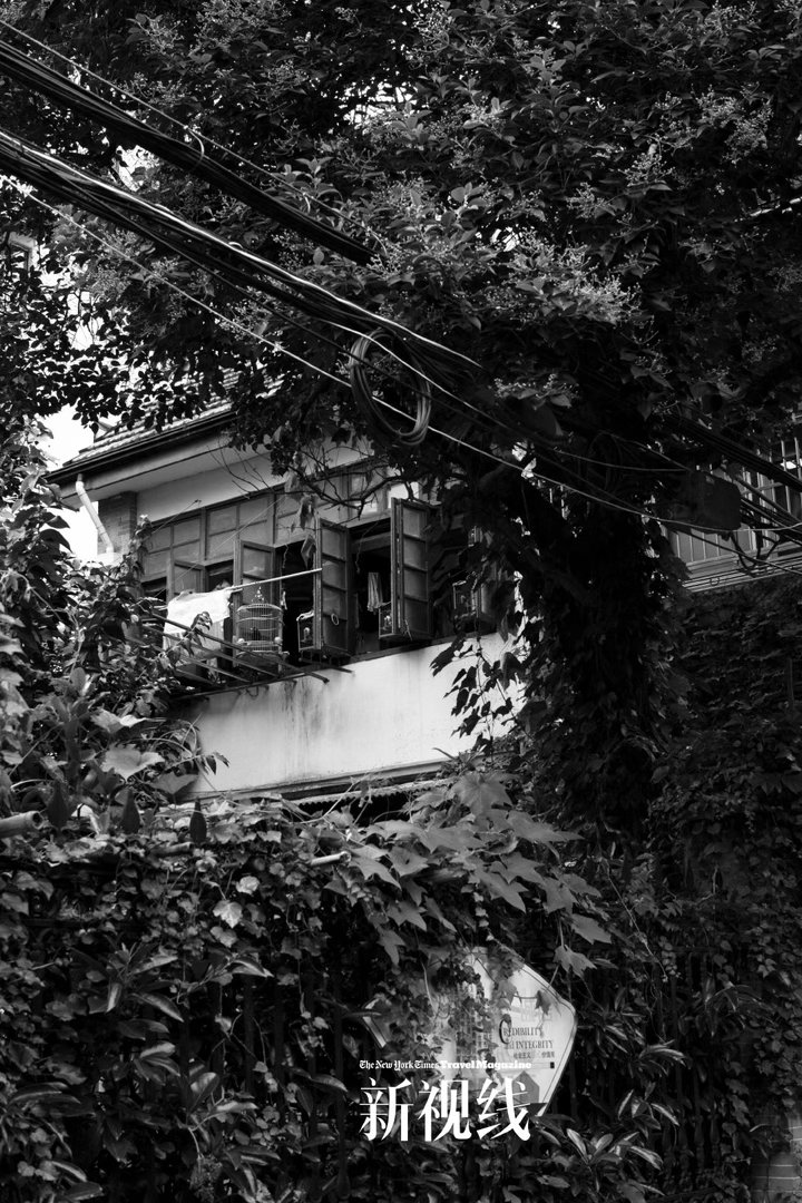 angelababy杨颖穿梭市井弄堂与旧屋窗隅，所有情绪都自然舒展。