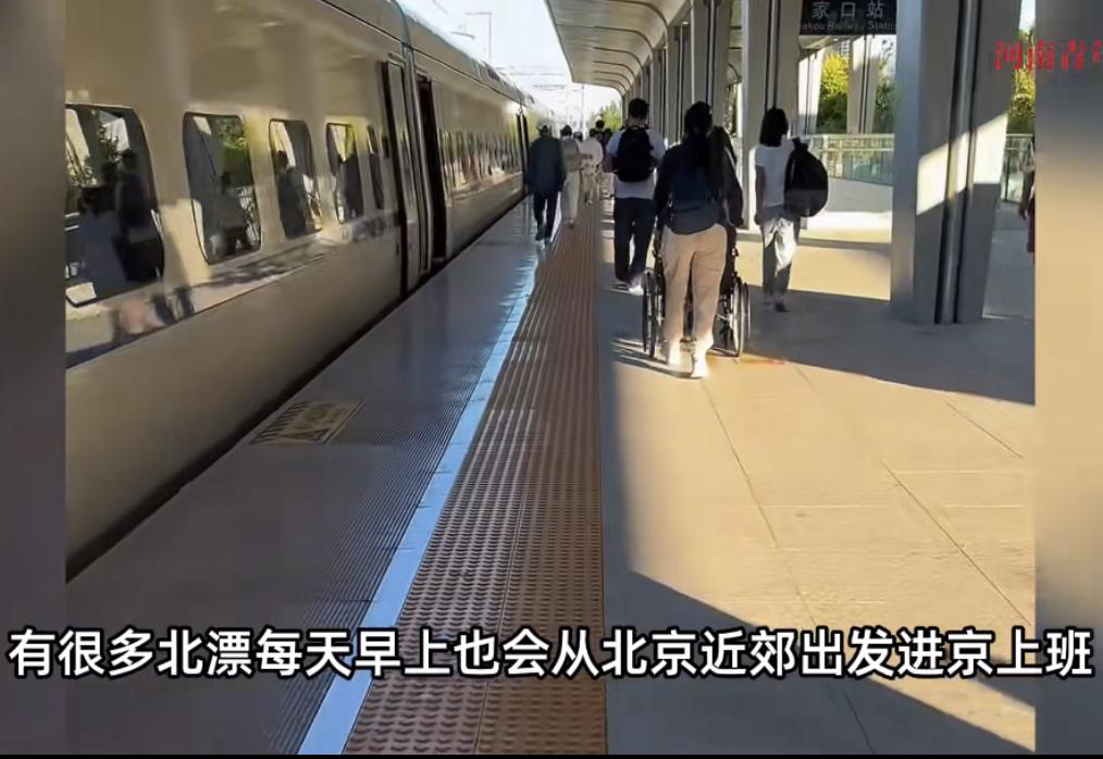 说出来都没人信！网上看到一个女生，每天从河北石家庄坐高铁去北京上班，一天一个