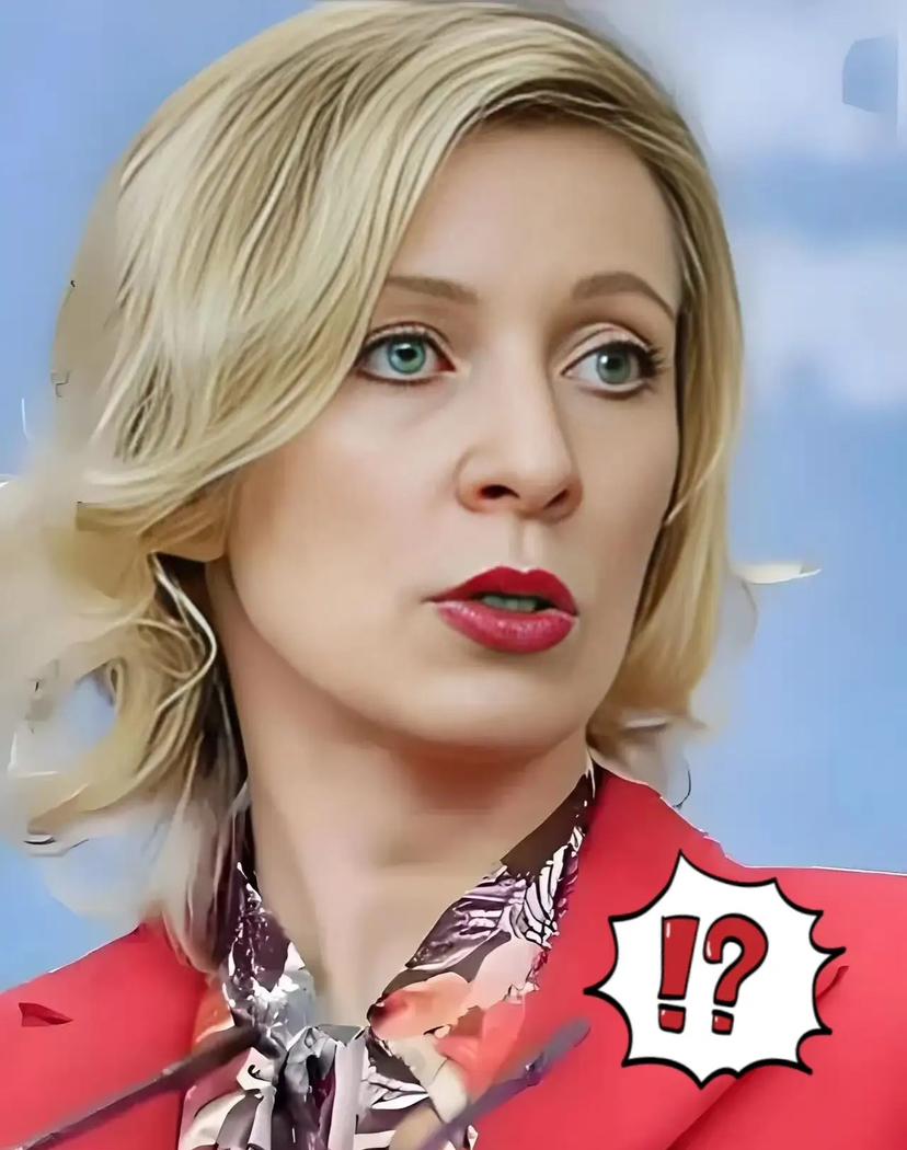 俄罗斯外交部强硬表态！12月4日，俄罗斯外交部发言人扎哈罗娃的强硬表态引爆舆