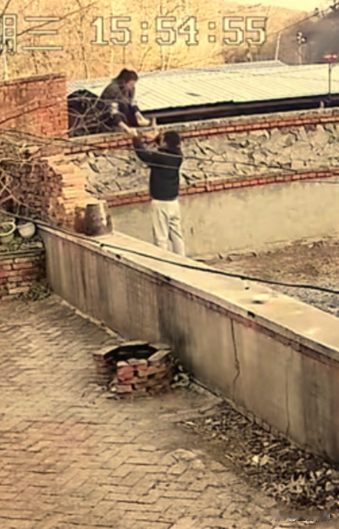 父母离世后，辽宁小伙每次回老家，都被邻居二姐这样“投喂”：原来家的温暖，从未走远