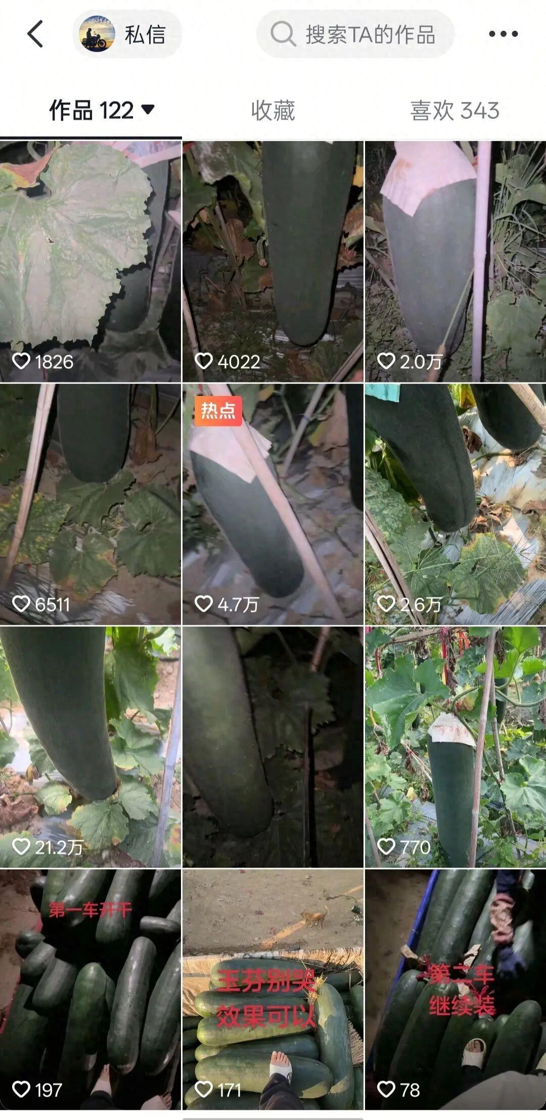 太硬核了！海南，一名30岁小伙深夜手持铁棍在瓜田里疯狂敲冬瓜，只要听着声音不对立