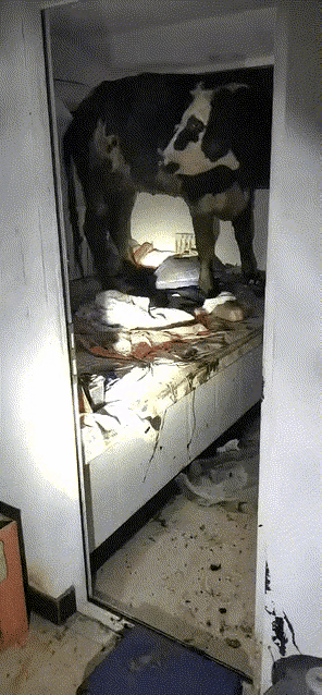 勾起对儿时的回忆。