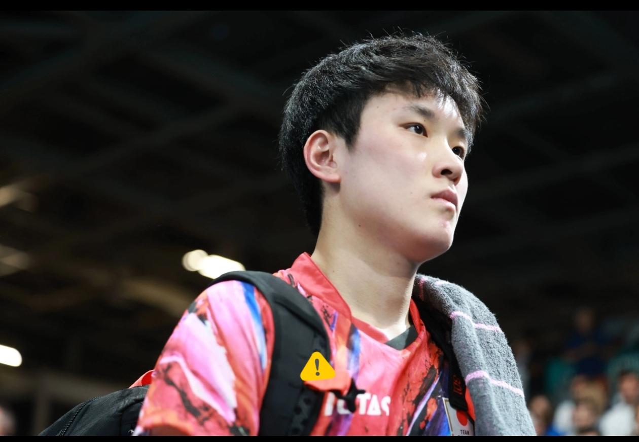 饭局上听常驻日本的哥们儿吐槽，张本智和这回算是彻底玩脱了。赢了林诗栋本来挺风