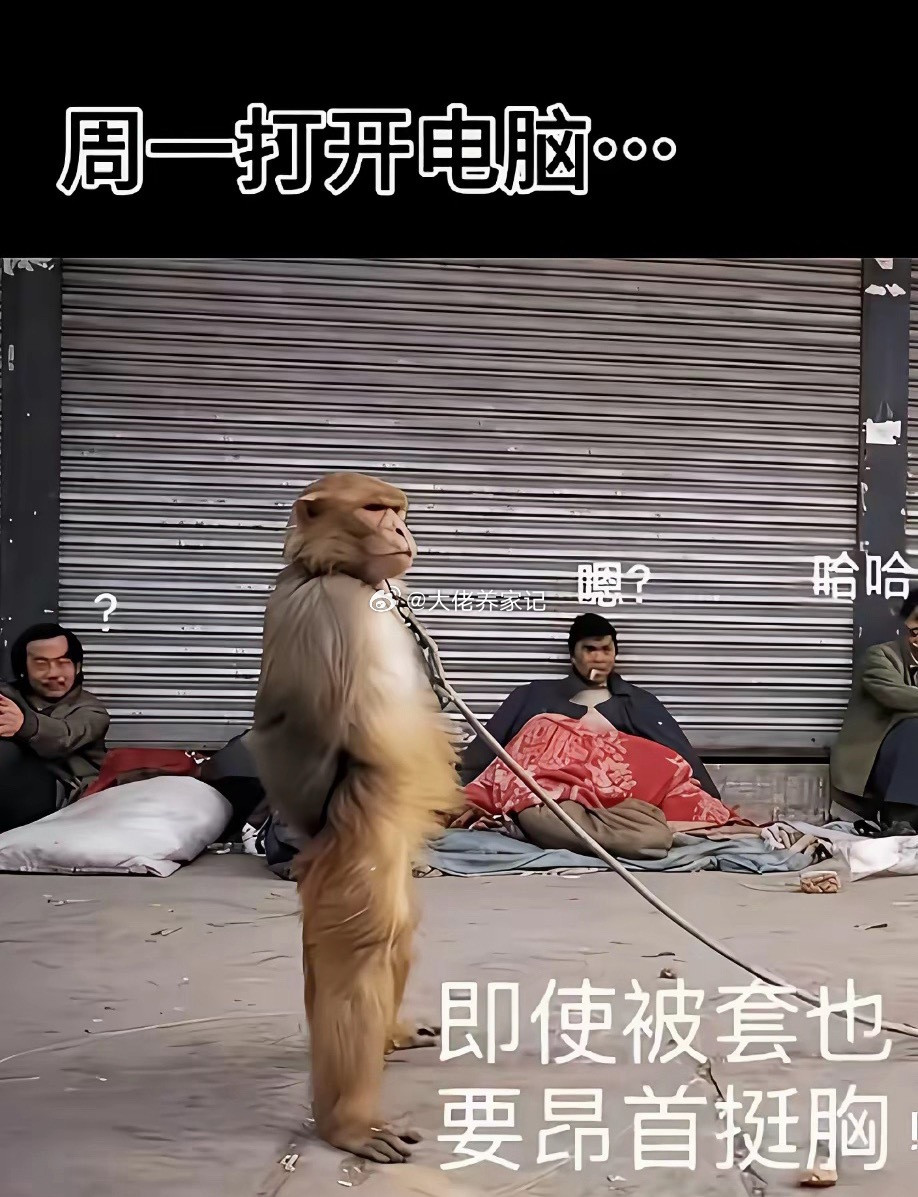 7.20底部放倍量上涨前十个股1.菲林格尔——倍量2.07，瓷砖地板2.浙大网新