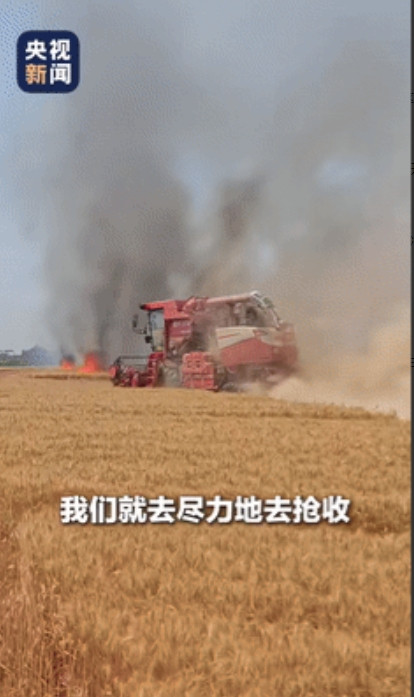 “这个美女又被央视点赞了！”山东，100多亩麦田起火，女生开收割机冲入火场抢收，