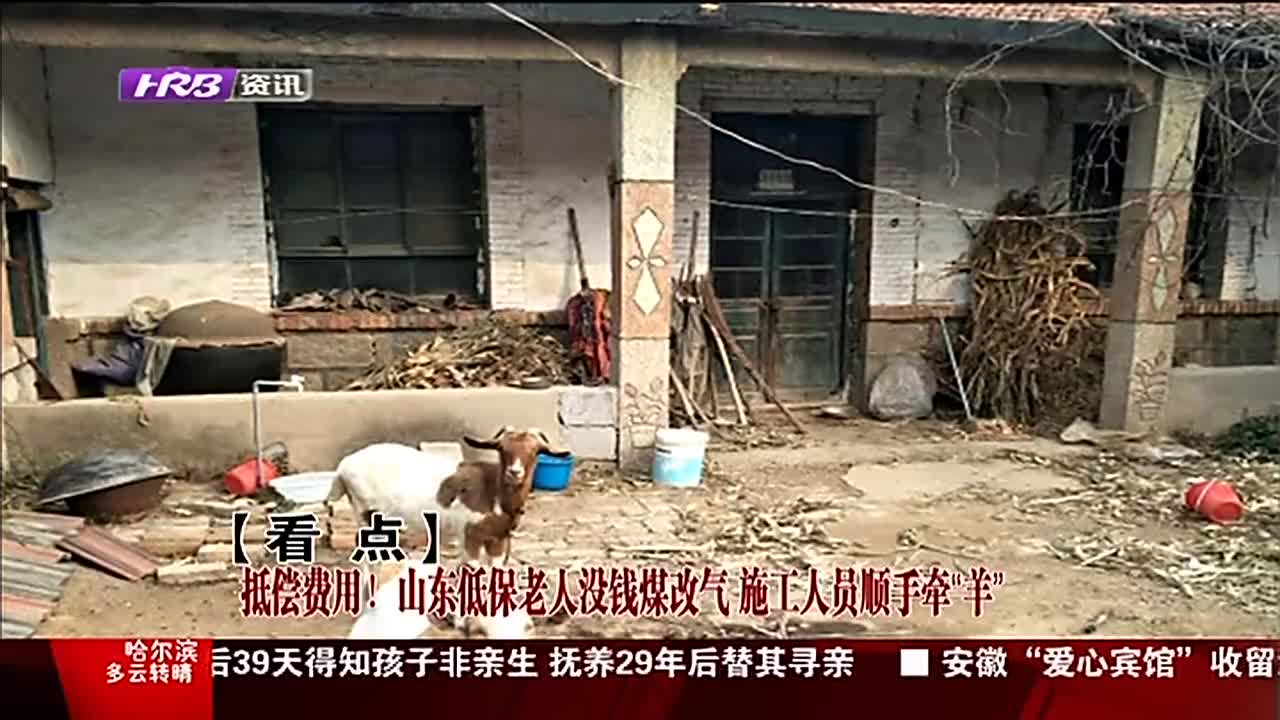 山东外来人口_山东人口结构图