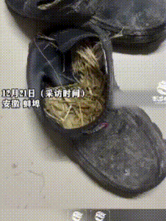 安徽蚌埠，穿稻草旧鞋救老伴的大爷，自己患帕金森病50年，老两口，靠几亩薄田糊口！