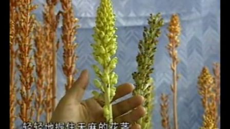 6200320989571308750.jpg?id=0