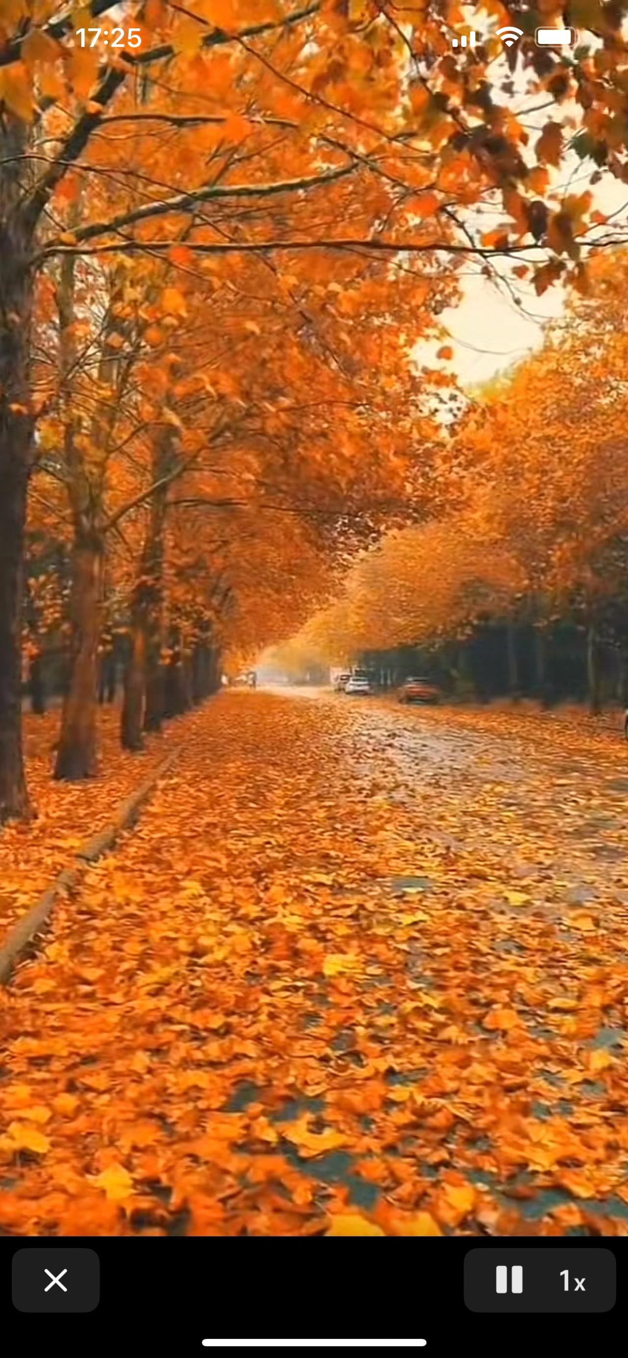 泡泡玛特直播间忘记了闭麦，两个主播两句话让股市损失170亿。直播间打算卖挂绳