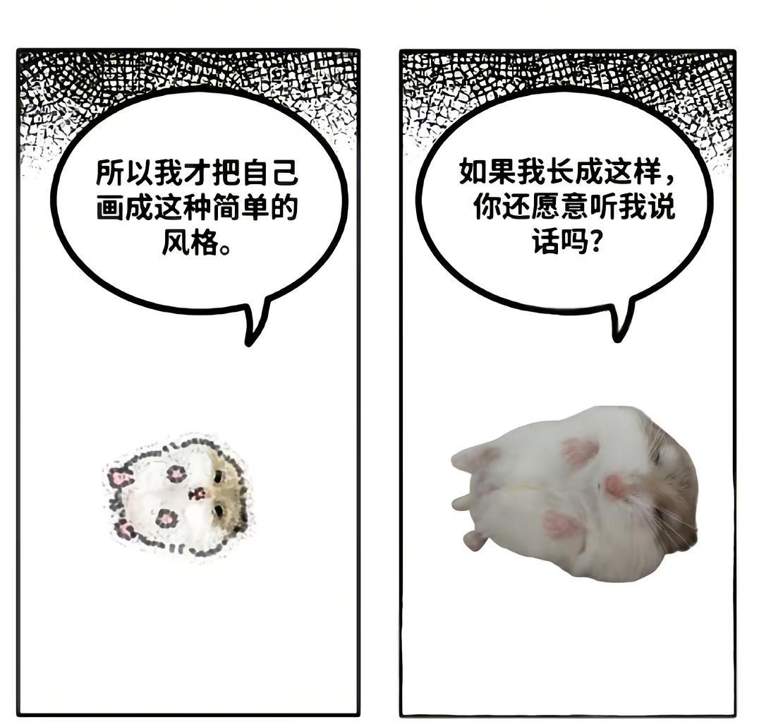如果我长成这样你还愿意听我说话吗！灵感来源@我睡觉的时候不困梗图仓鼠仓鼠宝