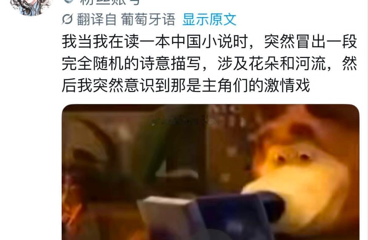 南美网友读中国网文，被中国作者的意识流开车手法震撼