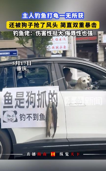 “太尴尬了！”5月17日，重庆，一钓鱼佬带着全套装备去河边钓鱼，谁知一整天下来都