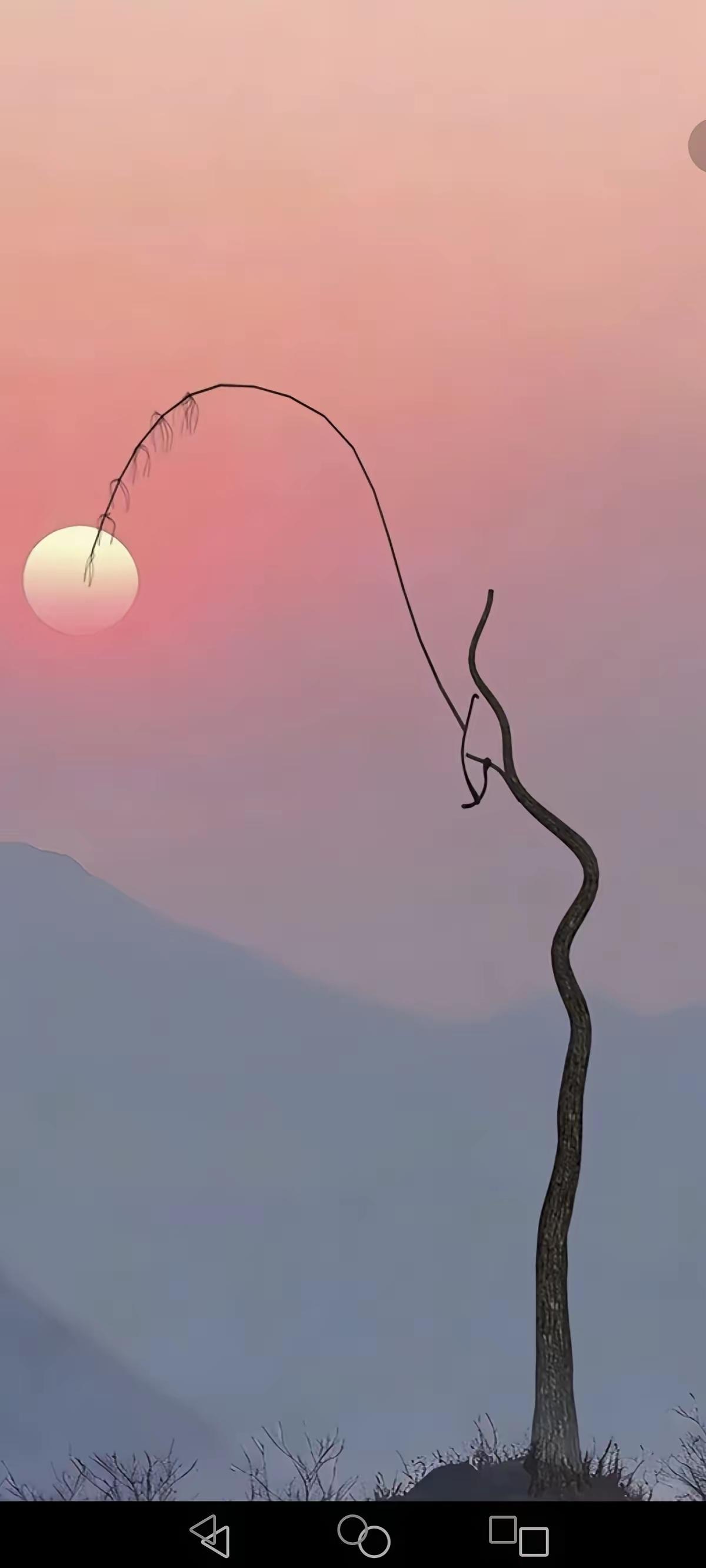 电视剧十大规律：1.上床必怀孕2.切菜必剁手3.开车吵架必出车祸4.车