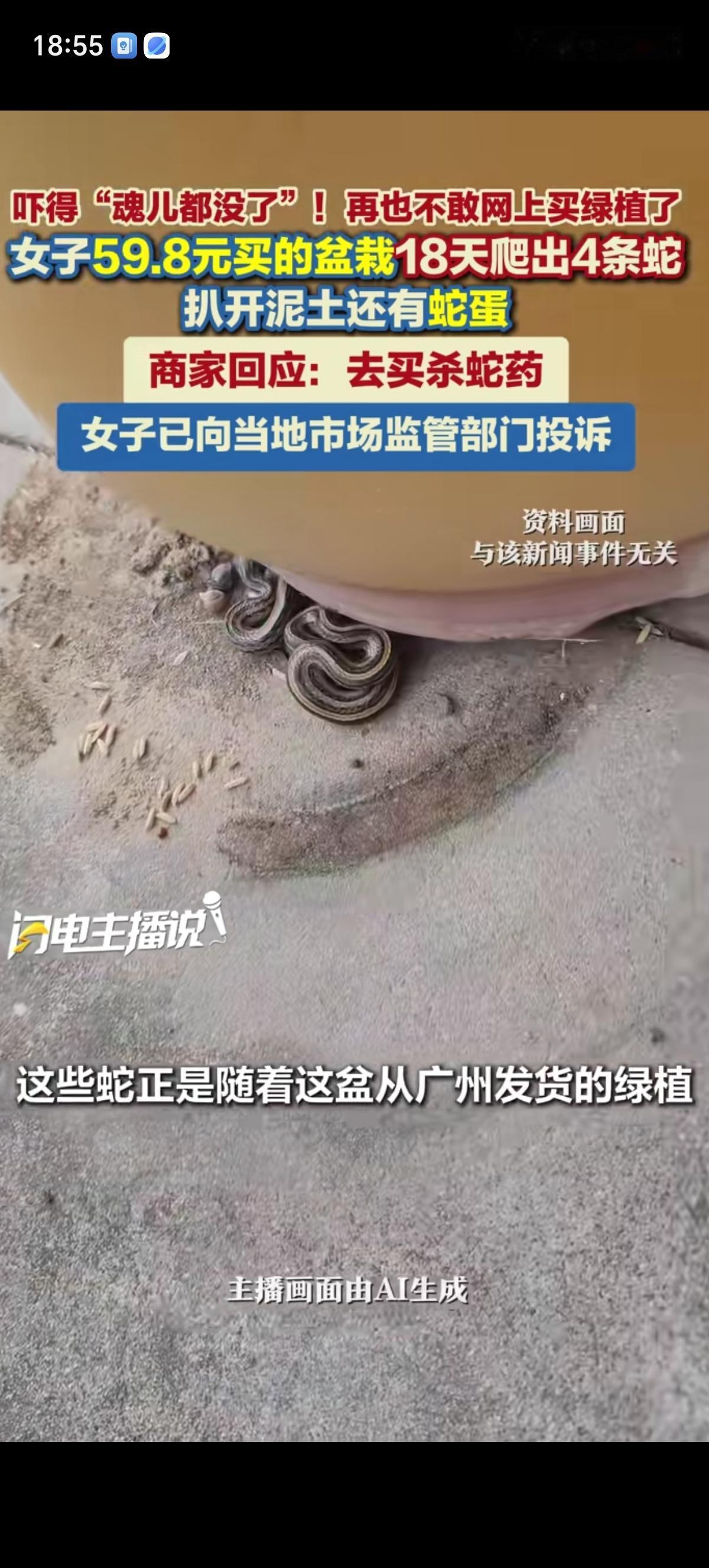 高女士花59块8网购了一盆黑金刚橡皮树盆栽，自己的店铺直接变成蟒蛇窝了。仅18天
