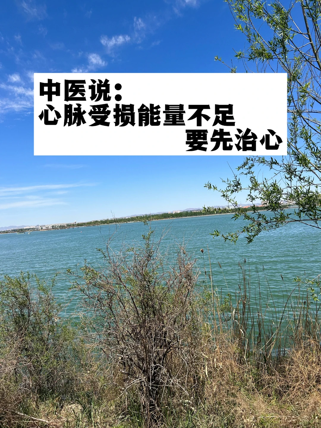 中医说：心脏受损，能量不足，要先治心.