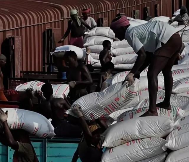 朝鲜兵出援俄，不是讲义气，而是有预谋的。一万个兵，一个月拿走三千万美金，全归平壤