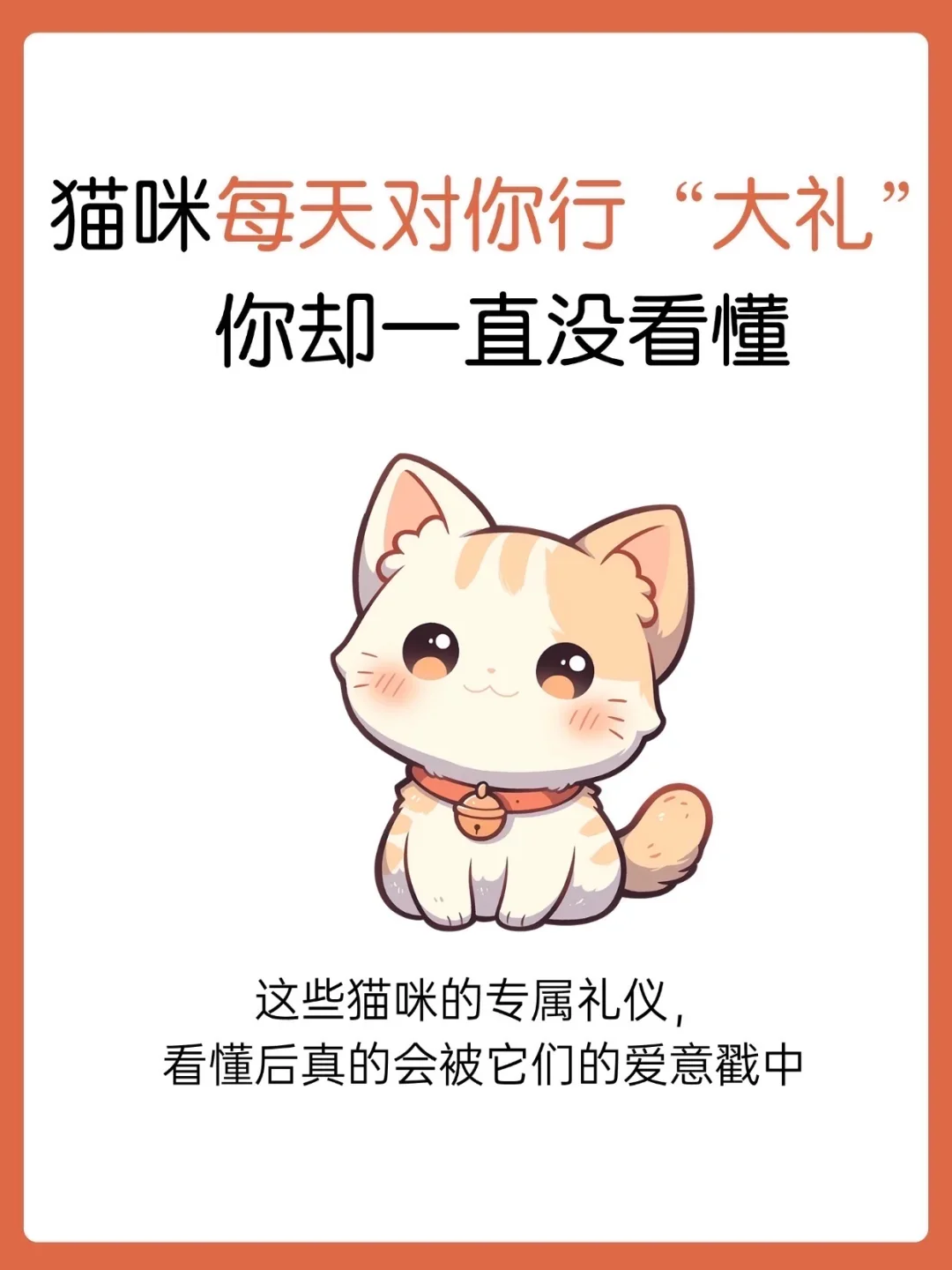 猫咪每天对你行大礼，你却一直没看懂