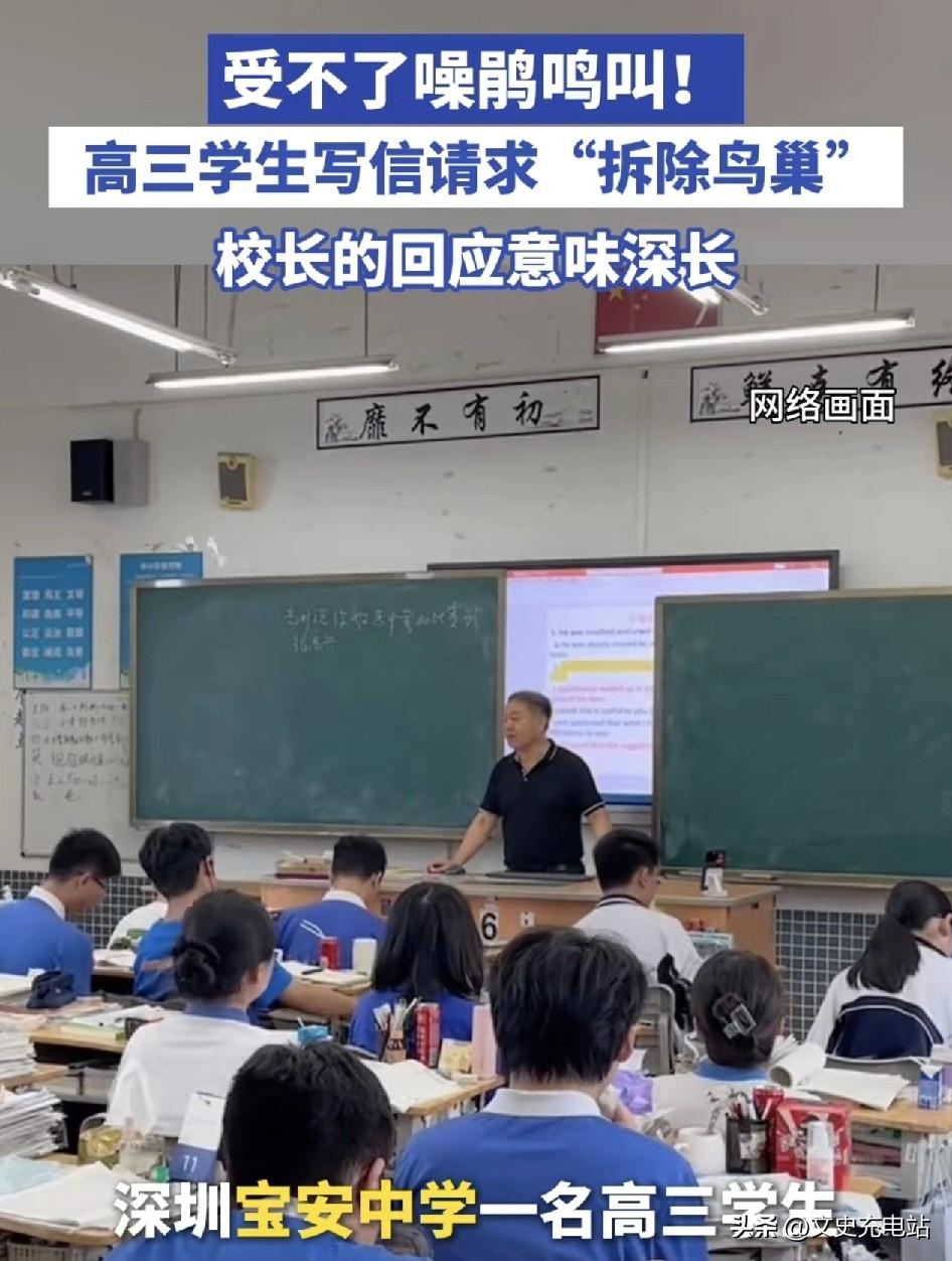 近日，深圳宝安中学一名高三的学生，因为忍受不了校园里的噪鹃整天的长啼鸣叫而写信给