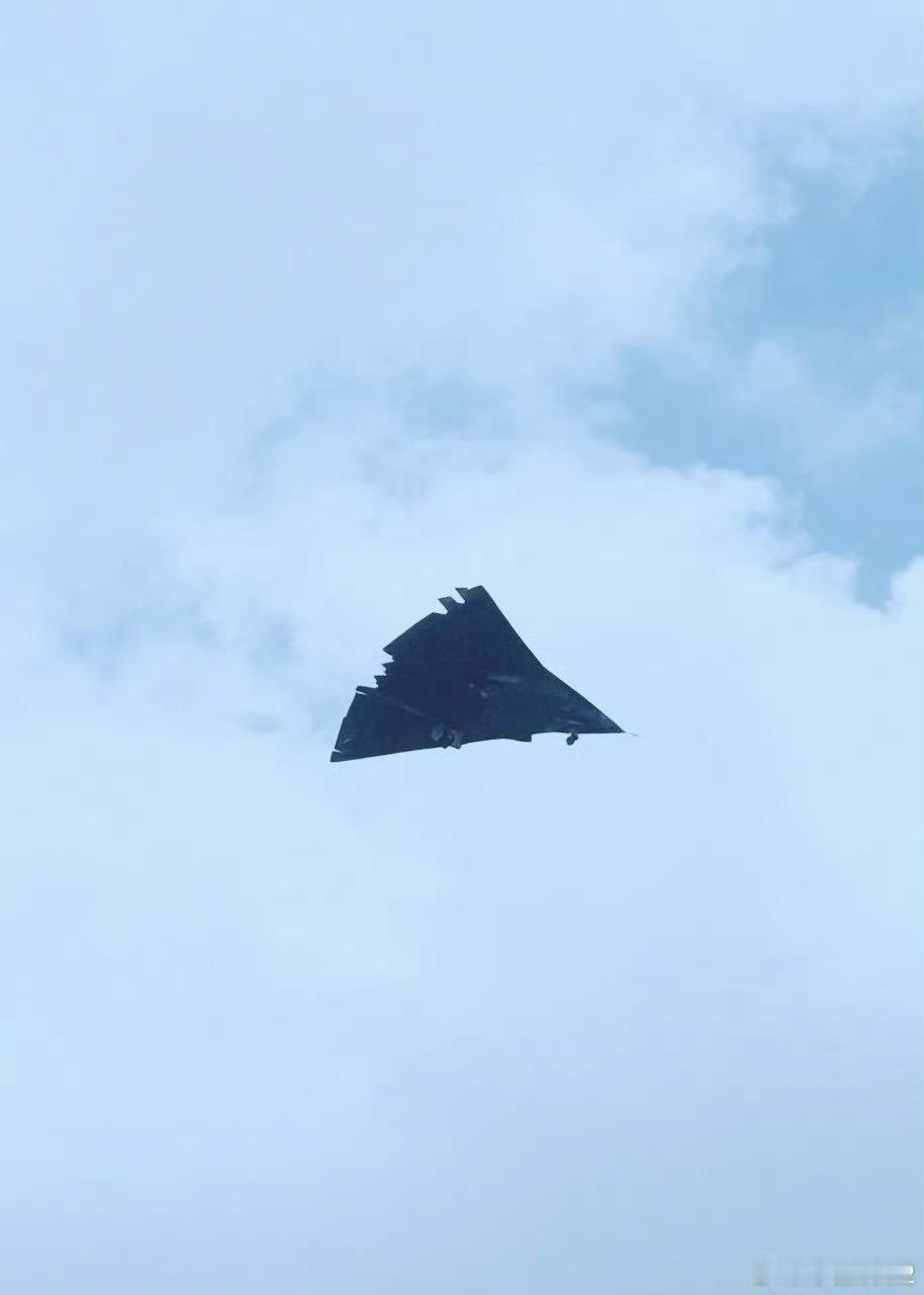 银杏叶2号（图源见水​​​