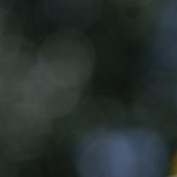 正能量正能量我们尽管保持内心的淡定，允许人生一切发生，既来之，则安之，做好自己