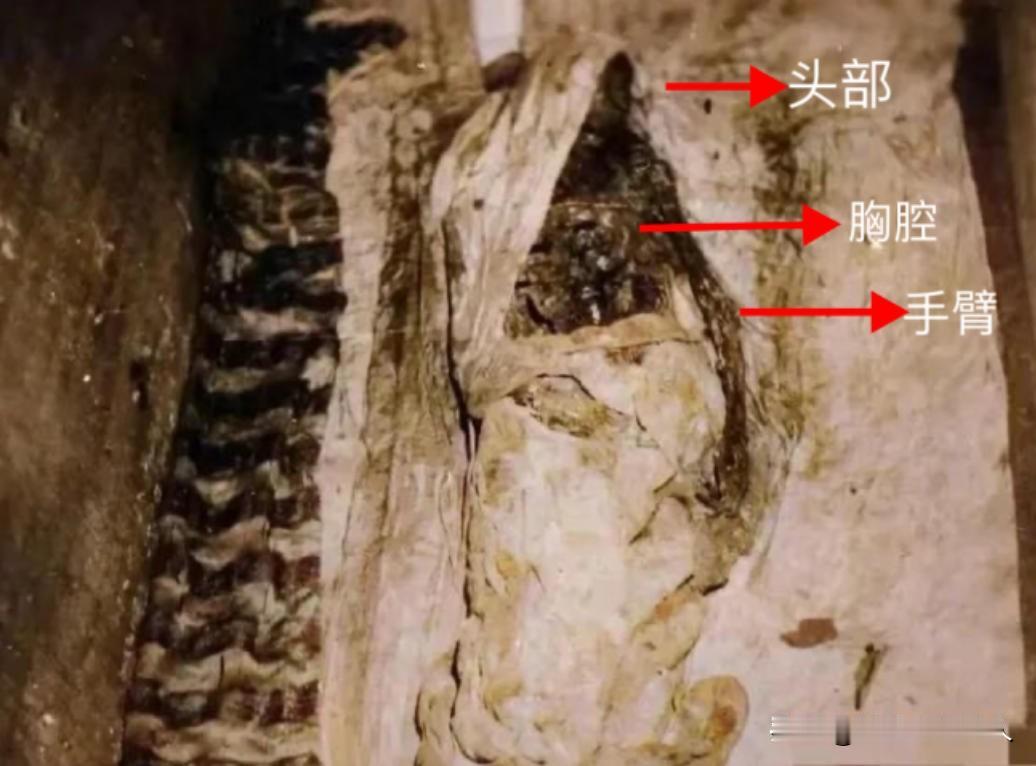 下图是慈禧一生的最后一张照片，拍摄时间是1983年，即慈禧内棺第三次被打开时。此