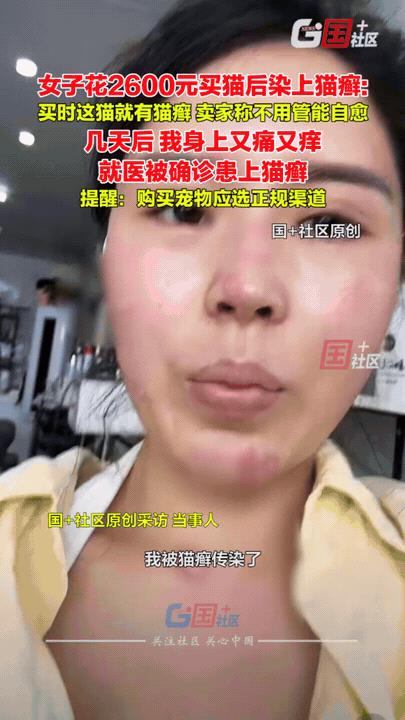 崩溃了！浙江嘉兴，女子有钱没地方花了，竟然花2600块钱买了一只猫当宠物，结果几