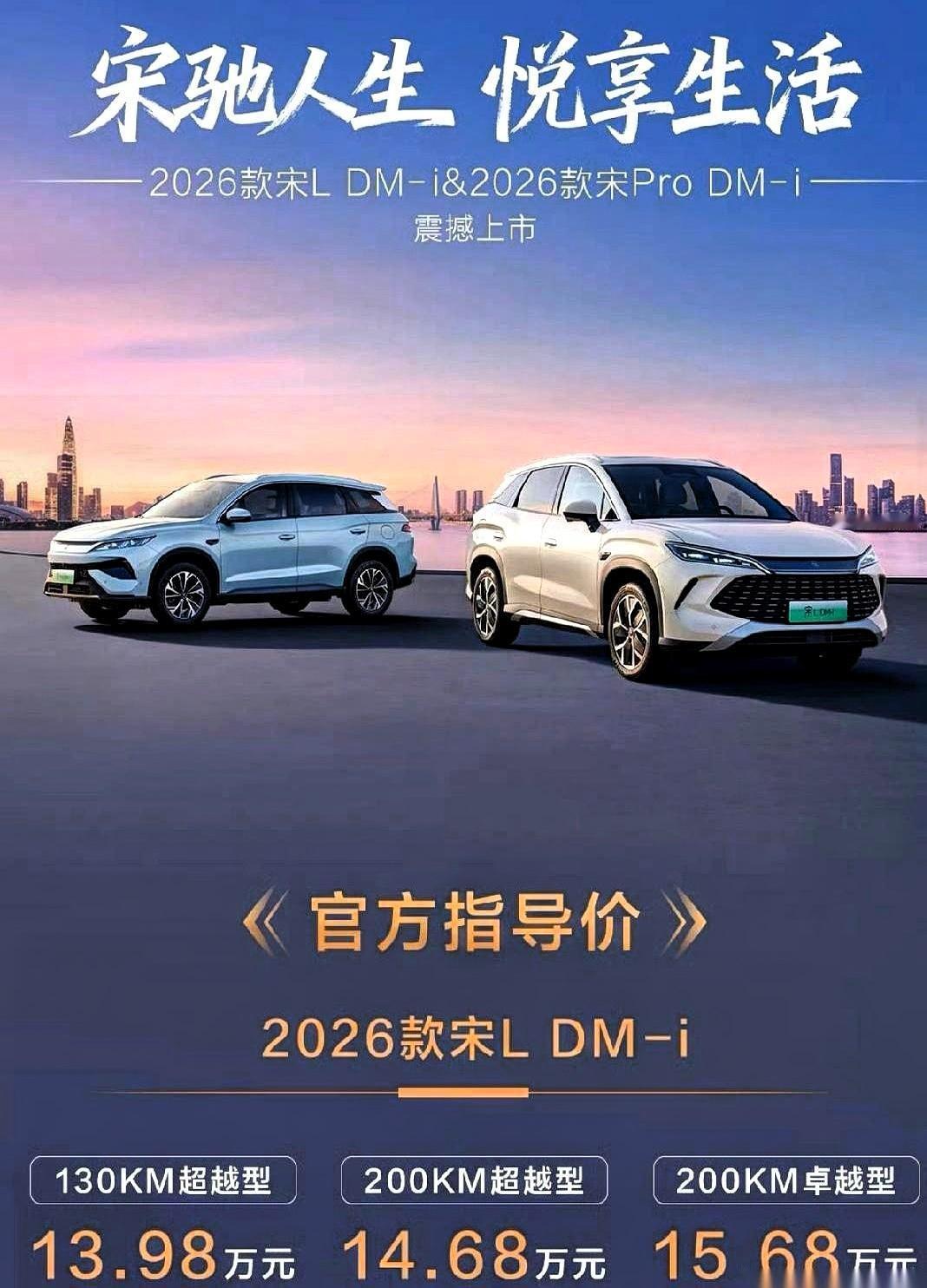 我服了，真的。比亚迪这是要把选择困难症往绝路上逼啊。刚出的宋Ldmi，价格