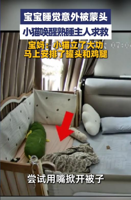 “真是来报恩的！”8月8日，山东临沂，一位宝宝在睡觉的时候翻了个身，被子意外蒙到