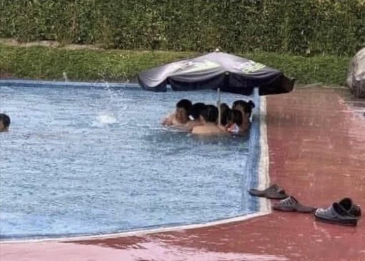 ☂️迷惑图