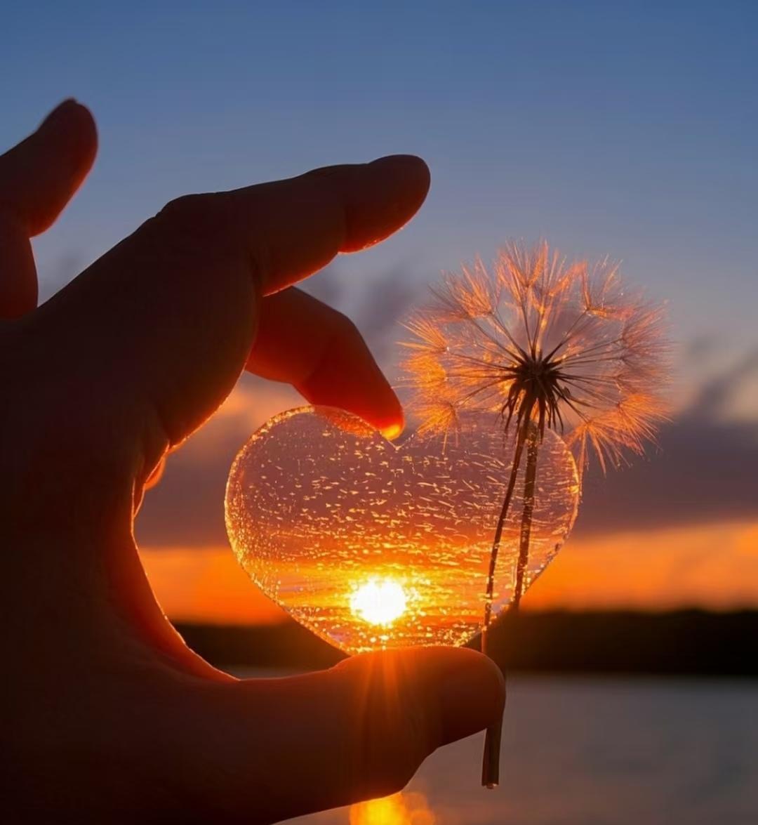 我认识的一个姐姐,在她被确诊胰腺癌那天起,她就像打仗一样开始了奔波…她知道胰腺