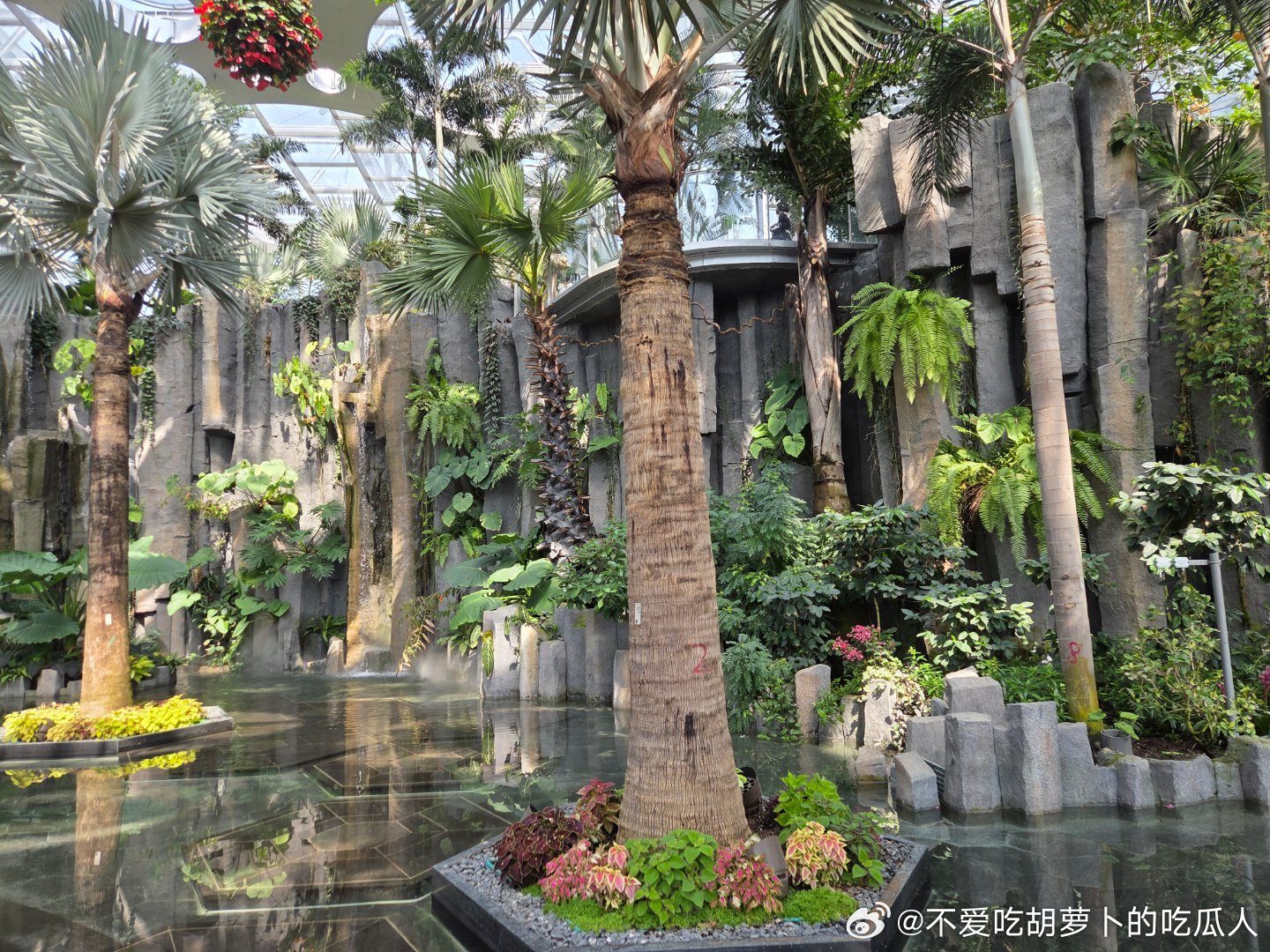 周末来温室花园，今天优惠价，人虽然有点多，但还可控，游玩体验还行，好久没到这里来