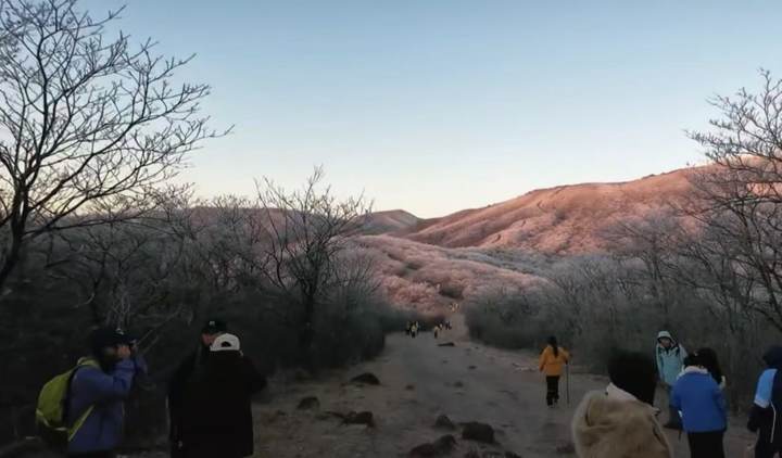 头一回见! 天目山景区景交车停运, 只因......