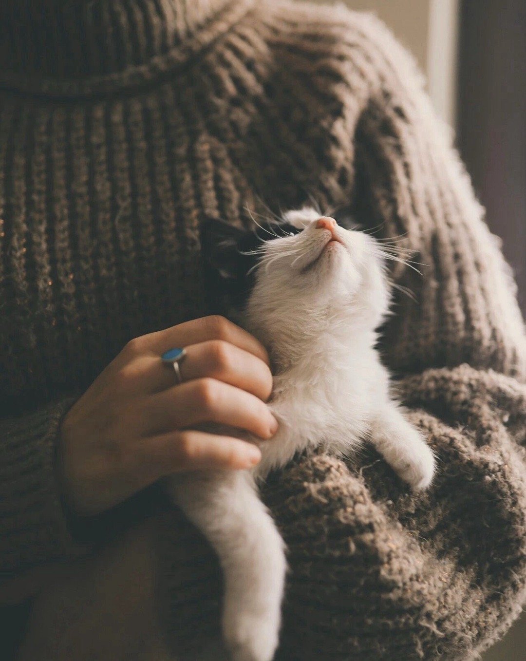 悄悄给自己两个月时间。学会以下35个技能。两个月后。惊艳所有人吧!1.学舞蹈--