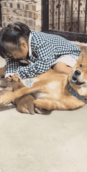 小姑娘居然和小奶狗抢奶喝，发现不对劲的狗妈妈回头探望，被小姑娘恼怒地搧了一耳光：