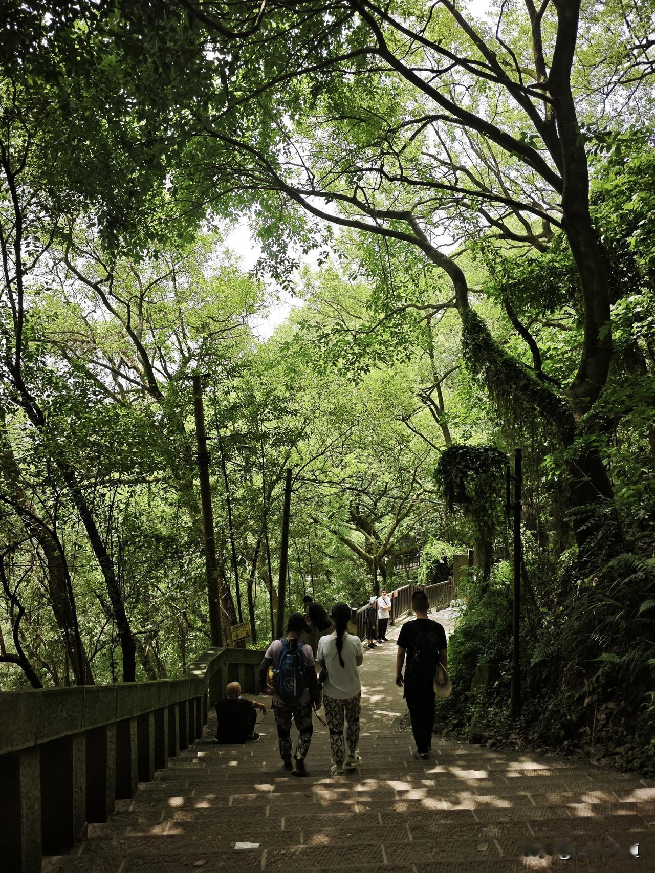 周末爬山，重庆南山乱逛。轨道上浩站起，从前驱路过敦厚坡，走杨家山舍身崖步道上山