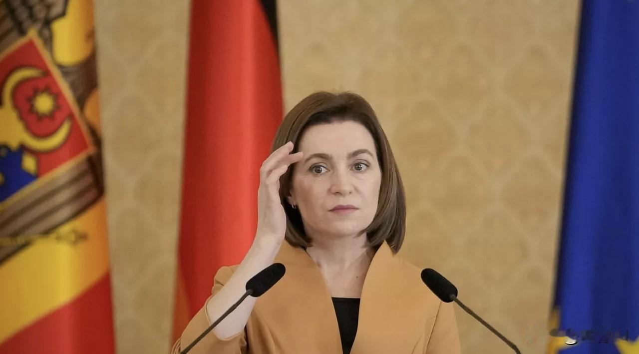 1月20日据俄罗斯卫星通讯社基希讷乌消息，摩尔多瓦外交部长米哈伊·波普肖伊表示，