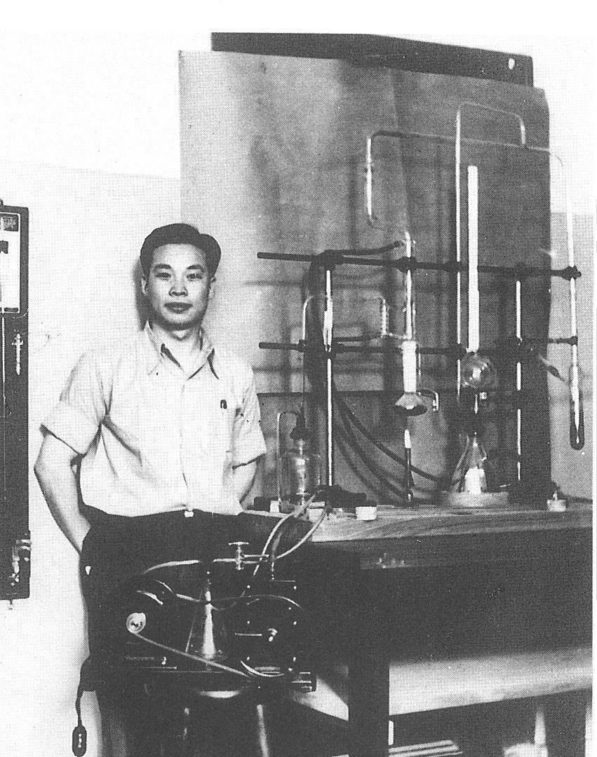 1974年，90岁的杨森迎娶了17岁的张灵凤。洞房之夜，就在杨森要行房事时，张灵
