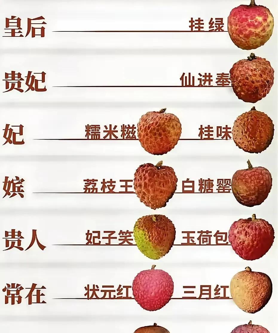 大家认得几种荔枝？从这张图来看，荔枝的品种丰富多样，每一种都有它独特的风味和特点