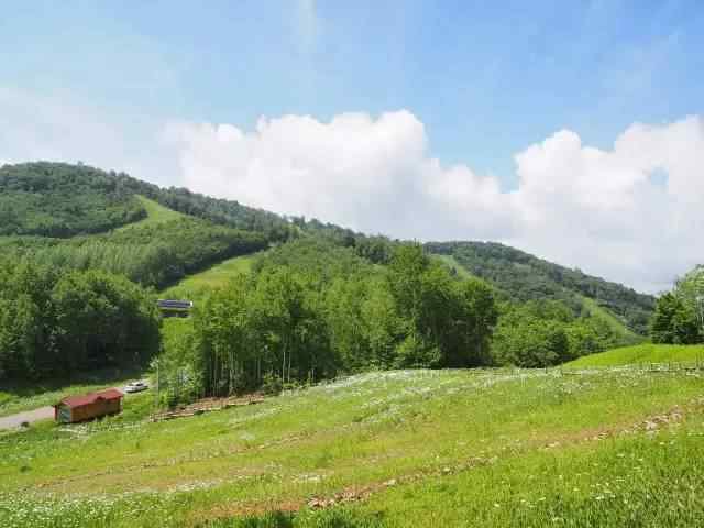 在这座神山下,拥有着广袤的原始山林,无边无际的绿色森林,负氧离子