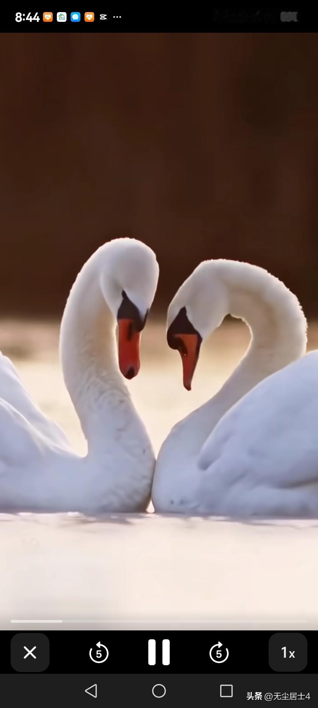 胃癌战友们，胃癌术后复查做CT时，你们有没有感觉？需要注意什么？我做CT时，能