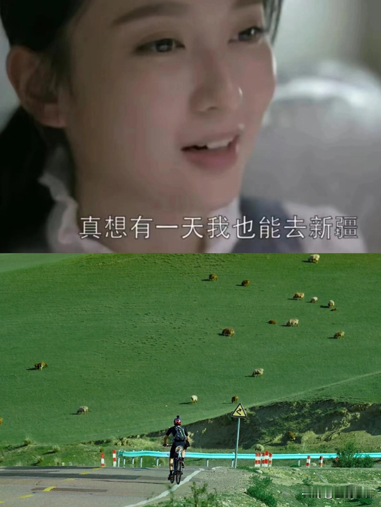 去新疆旅游的人，都栽在“上厕所”上了！谁懂啊！到新疆才知道，找厕所比找美景还