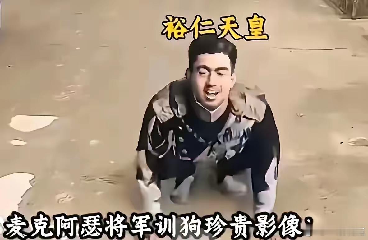 据说就是这张照片令日本大破防，还恬不知耻的提出抗议！难道说错了吗？​狗就是狗，难