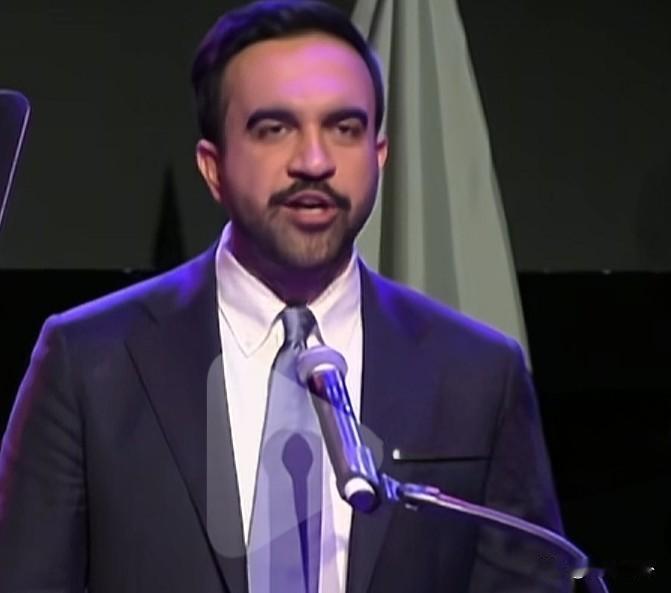 哈马斯支持者执掌纽约！以色列疾呼：犹太社区的纽约“末日”来了！纽约政坛变天